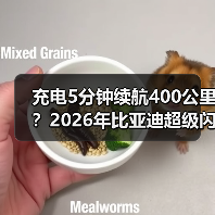 充电5分钟续航400公里？2026年比亚迪超级闪充到底多强