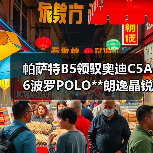 帕萨特B5领驭奥迪C5A6波罗POLO**朗逸晶锐明锐 油箱锁 油箱内盖