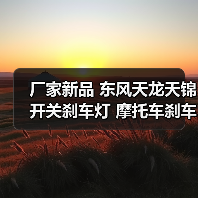 厂家新品 东风天龙天锦开关刹车灯 摩托车刹车灯开关