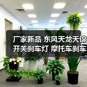 厂家新品 东风天龙天锦开关刹车灯 摩托车刹车灯开关