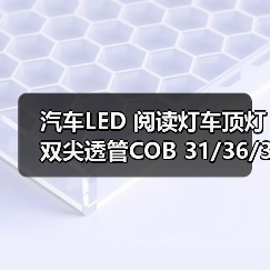 汽车LED 阅读灯车顶灯双尖透管COB 31/36/39/41mm C5W 车内灯