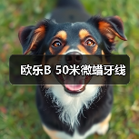 欧乐B 50米微蜡牙线
