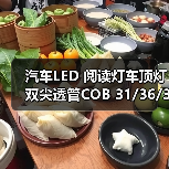 汽车LED 阅读灯车顶灯双尖透管COB 31/36/39/41mm C5W 车内灯