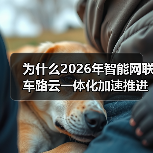 为什么2026年智能网联车路云一体化加速推进基础设施建设？我跟项目踩过坑