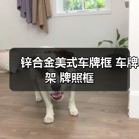 锌合金美式车牌框 车牌架 牌照框