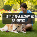 锌合金美式车牌框 车牌架 牌照框