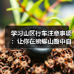 学习山区行车注意事项:让你在蜿蜒山路中自由驰骋的秘密 学习山区行车注意事项:让你在蜿蜒山路中自由驰骋的秘密