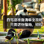 自驾游准备清单全攻略：只需这份指南，轻松开启旅途