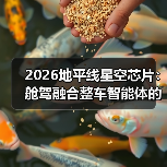 2026地平线星空芯片：舱驾融合整车智能体的三大真相