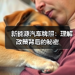 新能源汽车牌照：理解政策背后的秘密