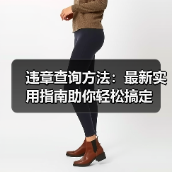 违章查询方法：最新实用指南助你轻松搞定