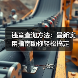 违章查询方法：最新实用指南助你轻松搞定