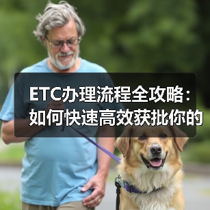 ETC办理流程全攻略：如何快速高效获批你的电子收费卡