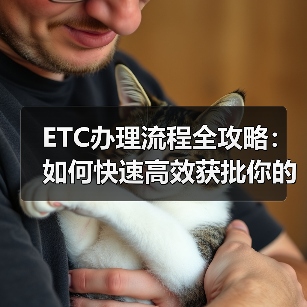 ETC办理流程全攻略：如何快速高效获批你的电子收费卡