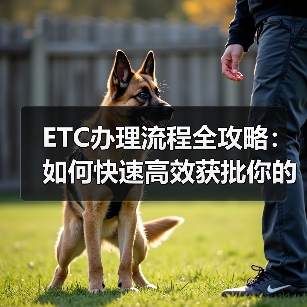 ETC办理流程全攻略：如何快速高效获批你的电子收费卡