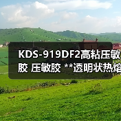 KDS-919DF2高粘压敏胶 压敏胶 **透明状热熔胶块 浅色无味 KDS-919DF2高粘压敏胶 压敏胶 **透明状热熔胶块 浅色无味