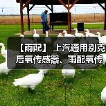 【雨配】 上汽通用别克 后氧传感器、雨配氧传感器、雨配氧感应器、雨配空燃比传感器 (12646200YP) 【雨配】 上汽通用别克 后氧传感器、雨配氧传感器、雨配氧感应器、雨配空燃比传感器 (12646200YP)