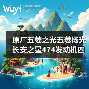 原厂五菱之光五菱扬光长安之星474发动机四配套活塞环活塞缸套