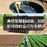 黄标车限制政策：如何影响你的出行与车辆选择