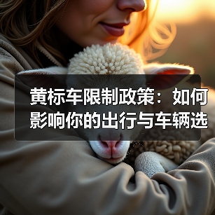 黄标车限制政策：如何影响你的出行与车辆选择