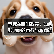 黄标车限制政策：如何影响你的出行与车辆选择
