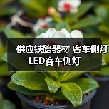 供应铁路器材 客车侧灯 LED客车侧灯 供应铁路器材 客车侧灯 LED客车侧灯