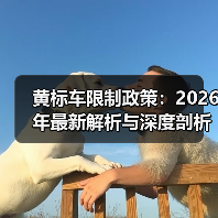 黄标车限制政策：2026年最新解析与深度剖析