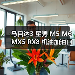 马自达3 星骋 M5 M6 MX5 RX8 机油加油口盖 机油盖 原装**
