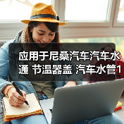 应用于尼桑汽车汽车水通 节温器盖 汽车水管13049-EN200