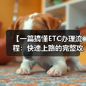 【一篇搞懂ETC办理流程:快速上路的完整攻略】 【一篇搞懂ETC办理流程:快速上路的完整攻略】