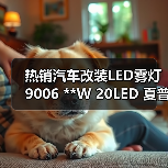 热销汽车改装LED雾灯 9006 **W 20LED 夏普前雾灯前照灯泡防雾灯 热销汽车改装LED雾灯 9006 **W 20LED 夏普前雾灯前照灯泡防雾灯