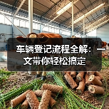 车辆登记流程全解：一文带你轻松搞定