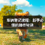 车辆登记流程：新手必懂的操作秘诀