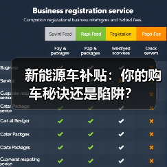 新能源车补贴：你的购车秘诀还是陷阱？