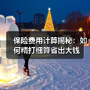 保险费用计算揭秘：如何精打细算省出大钱