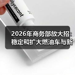 2026年商务部放大招：稳定和扩大燃油车与新能源车消费，普通人怎么跟？