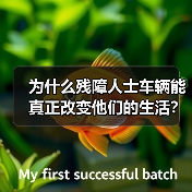 为什么残障人士车辆能真正改变他们的生活?这是一个值得每个人深思的问题。一辆专为残障人士设计的车辆,或许并不只是出行工具,更是自主、尊严和幸福的象征。数据显示,全 为什么残障人士车辆能真正改变他们的生活?这是一个值得每个人深思的问题。一辆专为残障人士设计的车辆,或许并不只是出行工具,更是自主、尊严和幸福的象征。数据显示,全