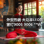外贸热销 大功率LED防雾灯9005 9006 **W黄金光雾灯 汽车前雾灯 外贸热销 大功率LED防雾灯9005 9006 **W黄金光雾灯 汽车前雾灯