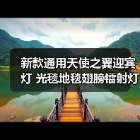 新款通用天使之翼迎宾灯 光毯地毯翅膀镭射灯 照地灯氛围灯底盘灯 新款通用天使之翼迎宾灯 光毯地毯翅膀镭射灯 照地灯氛围灯底盘灯