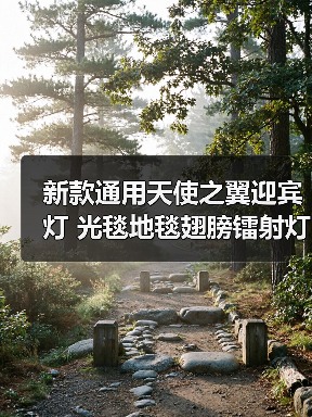 新款通用天使之翼迎宾灯 光毯地毯翅膀镭射灯 照地灯氛围灯底盘灯 新款通用天使之翼迎宾灯 光毯地毯翅膀镭射灯 照地灯氛围灯底盘灯