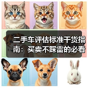 二手车评估标准干货指南：买卖不踩雷的必看秘籍