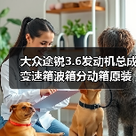 大众途锐3.6发动机总成变速箱波箱分动箱原装件