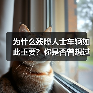 为什么残障人士车辆如此重要?你是否曾想过一辆专为残障人士设计的车,是怎样让他们的生活变得更加自由和尊严?最新数据显示,全球残障人士数量已高达8亿,拥有车辆的比例 为什么残障人士车辆如此重要?你是否曾想过一辆专为残障人士设计的车,是怎样让他们的生活变得更加自由和尊严?最新数据显示,全球残障人士数量已高达8亿,拥有车辆的比例