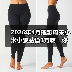 2026年4月理想蔚来小米小鹏站稳3万辆,你还觉得市场饱和了? 2026年4月理想蔚来小米小鹏站稳3万辆,你还觉得市场饱和了?