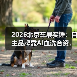 2026北京车展实锤：自主品牌靠AI血洗合资，你信吗？