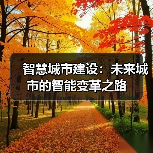 智慧城市建设：未来城市的智能变革之路