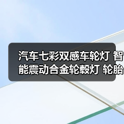 汽车七彩双感车轮灯 智能震动合金轮毂灯 轮胎灯 风火轮 气门嘴灯