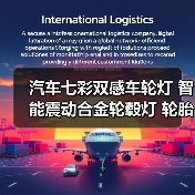 汽车七彩双感车轮灯 智能震动合金轮毂灯 轮胎灯 风火轮 气门嘴灯