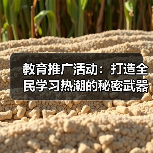 教育推广活动：打造全民学习热潮的秘密武器