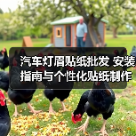 汽车灯眉贴纸批发 安装指南与个性化贴纸制作技巧